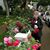 Gail Jones's profile image
