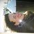 Beth Coleman's profile image
