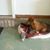 Linda Trawick's profile image