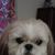 JoRene Leopard's profile image