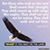 Shelia Winburn's profile image