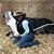 Gilly Slayter's profile image