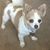 Patti Green's profile image