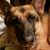 Vera Fonseca's profile image