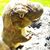 Rebeka Vanderwall's profile image