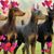 Dawn Elizabeth DeVane-Brown's profile image