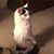Donna Colston's profile image