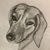 Marie Bossi's profile image