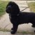 Jackie Dannaher's profile image