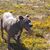 Christopher Nicholson's profile image