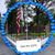 Carol Hickey Grieves's profile image