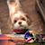 Lynetta Campell Busen's profile image