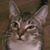 Brian Brooks's profile image