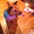 Gayla Wilson's profile image