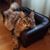 Lynette Struck's profile image