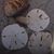 Kathy Eisenberger-Stovak's profile image