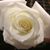 Joan DeClark's profile image