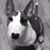 JoAnn Kittredge's profile image