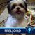 Jesus Rosas's profile image