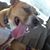 Anthony Garcia's profile image