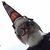 John Drynan's profile image