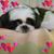 Lori Beyer's profile image