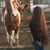 Nancy Castillo's profile image