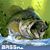 Michael A Civiletti's profile image
