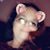 Jennifer Carter-Fry's profile image