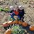 Stephanie Brooks's profile image