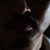Iver Xie's profile image