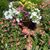 Jeannine F. Coker's profile image