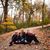 Lindsey Kiltau's profile image