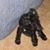 Georgette Roselli Wynn's profile image