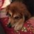 Ursula Jo Norwood's profile image