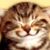 Beverly Farrell's profile image