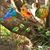 Theresa Daugherty Rousculp's profile image