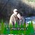 Melissa Roberts-Johnston's profile image