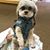 Wendy Radi Hasselman's profile image