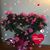 Jean Abney Kearns's profile image