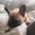Jennifer Ousley's profile image