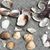 Deb Snella Temperly's profile image