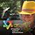 Linda Leikin's profile image