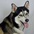 Richard Gareau's profile image