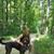 Leslie Taylor Slevin's profile image