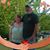 Kerry D. Knowles's profile image
