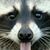 Debra Oakes's profile image
