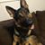 Vickie Woodard Smith's profile image