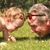 John Pomerenk's profile image