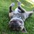 Jill Bedell Bonesteel's profile image